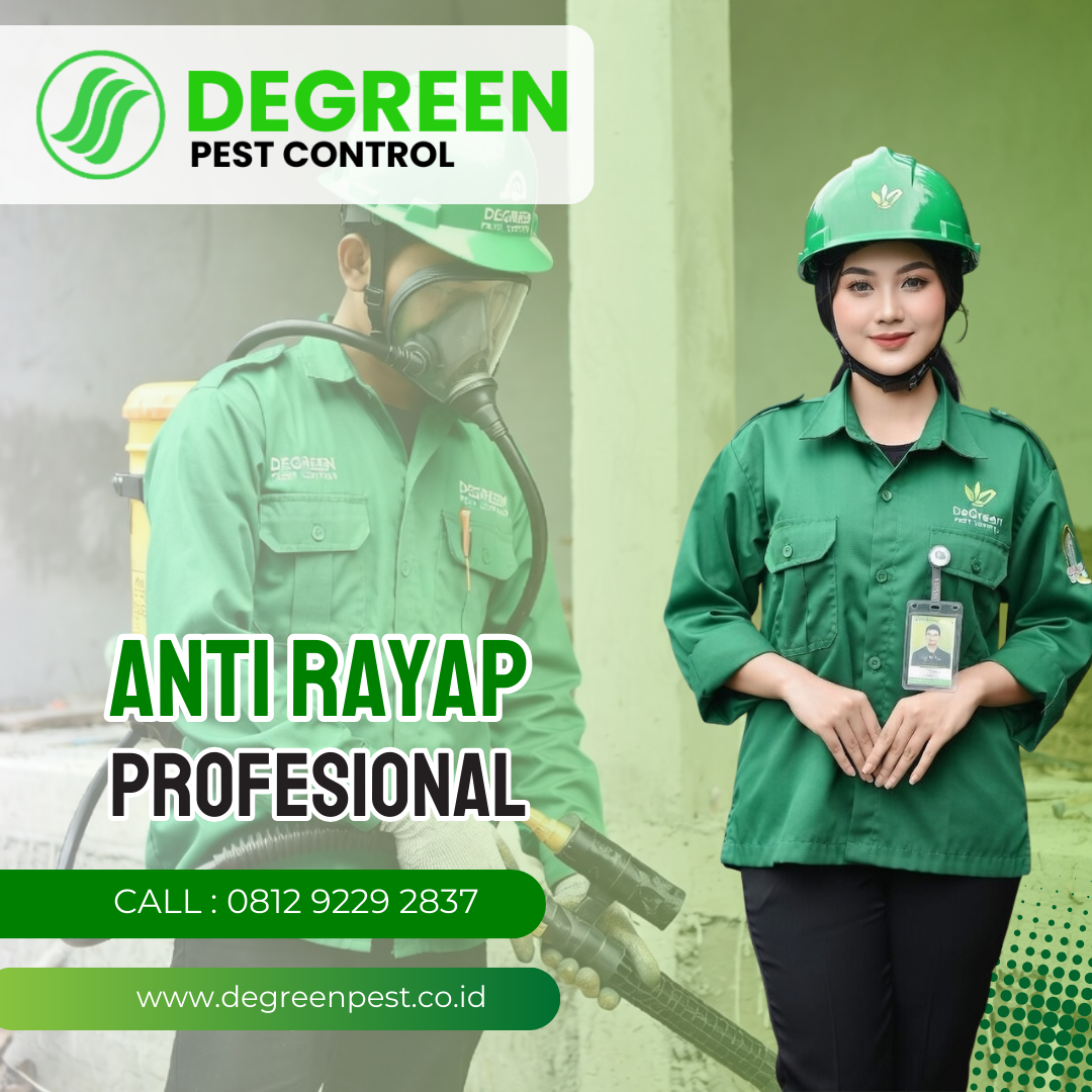 Anti Rayap Tangerang Terbaik: Lindungi Aset Anda Sekarang!